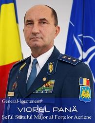 Pana Viorel